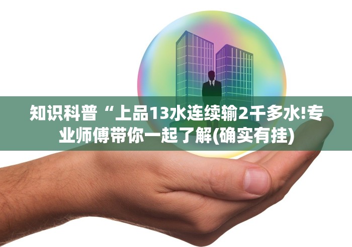 知识科普“上品13水连续输2千多水!专业师傅带你一起了解(确实有挂)