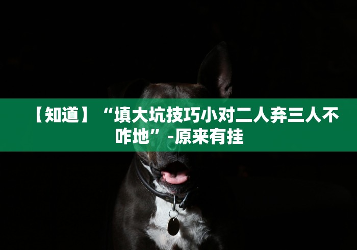 【知道】“填大坑技巧小对二人弃三人不咋地”-原来有挂 【知道】“填大坑技巧小对二人弃三人不咋地”-原来有挂