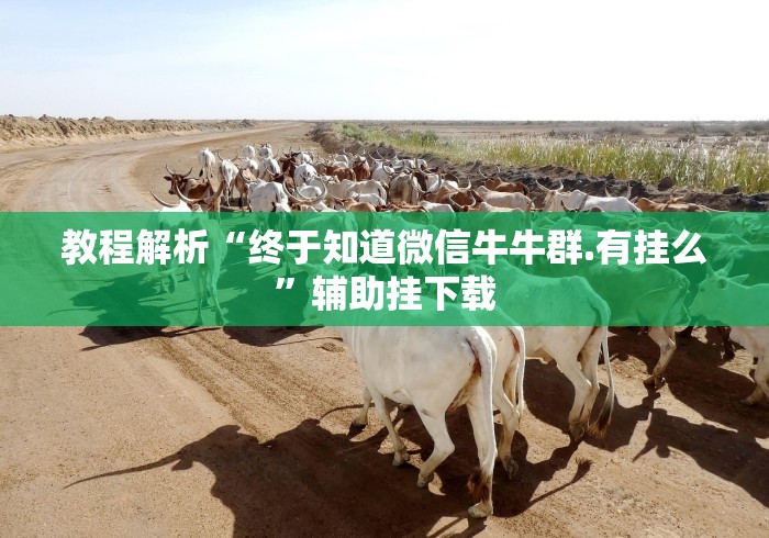 教程解析“终于知道微信牛牛群.有挂么”辅助挂下载