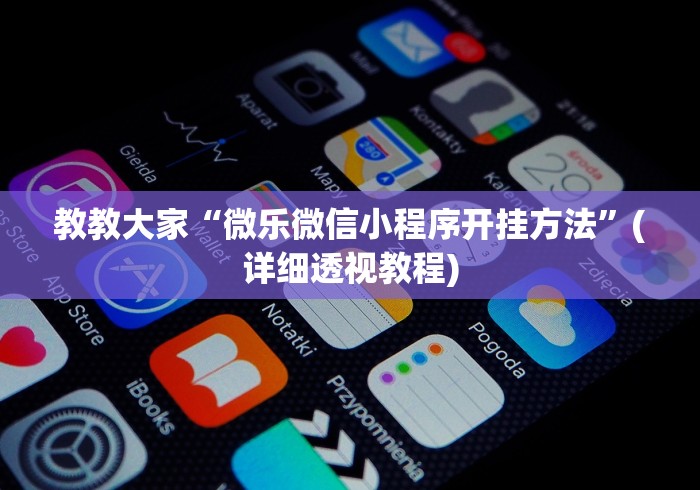 教教大家“微乐微信小程序开挂方法”(详细透视教程) 教教大家“微乐微信小程序开挂方法”(详细透视教程)