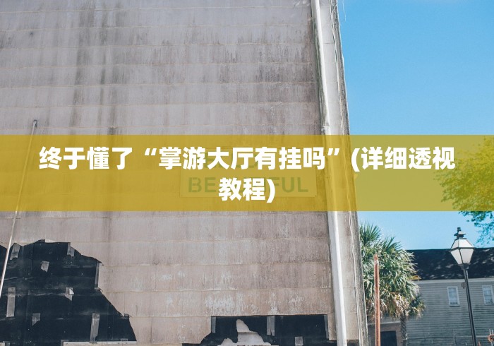 终于懂了“掌游大厅有挂吗”(详细透视教程)