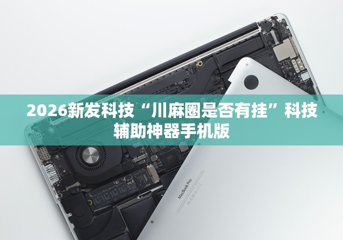 2026新发科技“川麻圈是否有挂”科技辅助神器手机版