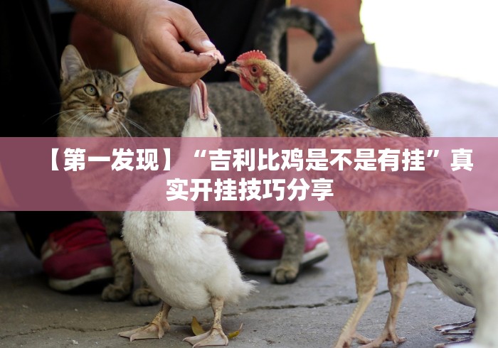 【第一发现】“吉利比鸡是不是有挂”真实开挂技巧分享