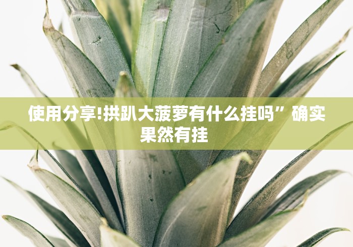 使用分享!拱趴大菠萝有什么挂吗”确实果然有挂 