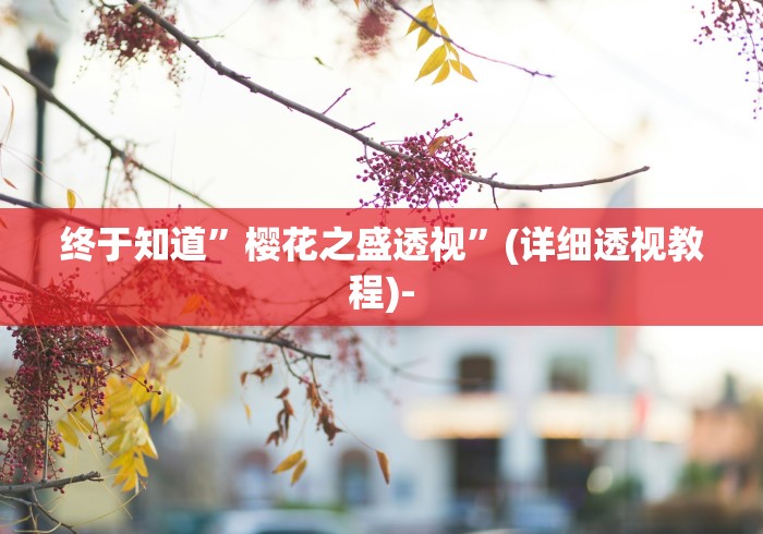 终于知道”樱花之盛透视”(详细透视教程)-