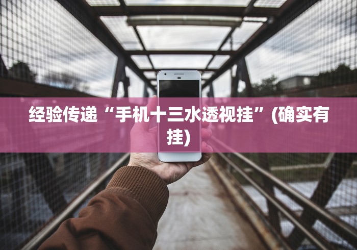 经验传递“手机十三水透视挂”(确实有挂)
