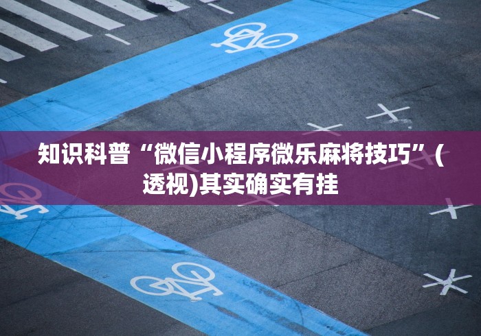 知识科普“微信小程序微乐麻将技巧”(透视)其实确实有挂