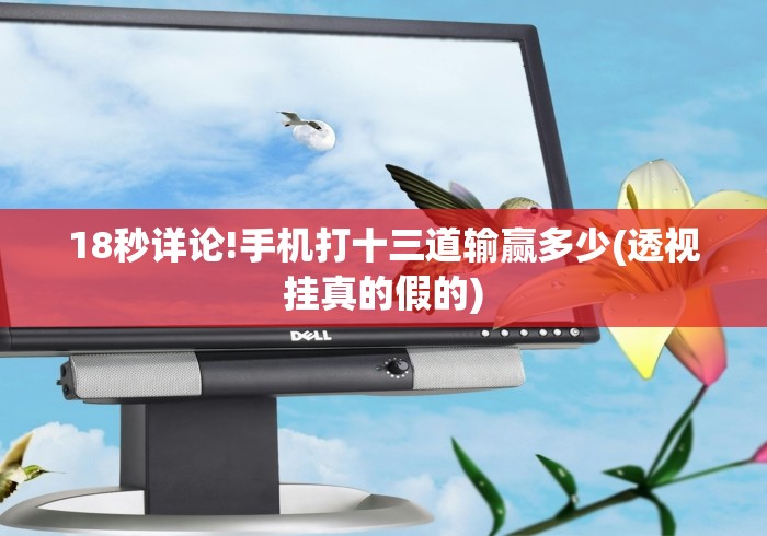 18秒详论!手机打十三道输赢多少(透视挂真的假的) 18秒详论!手机打十三道输赢多少(透视挂真的假的)