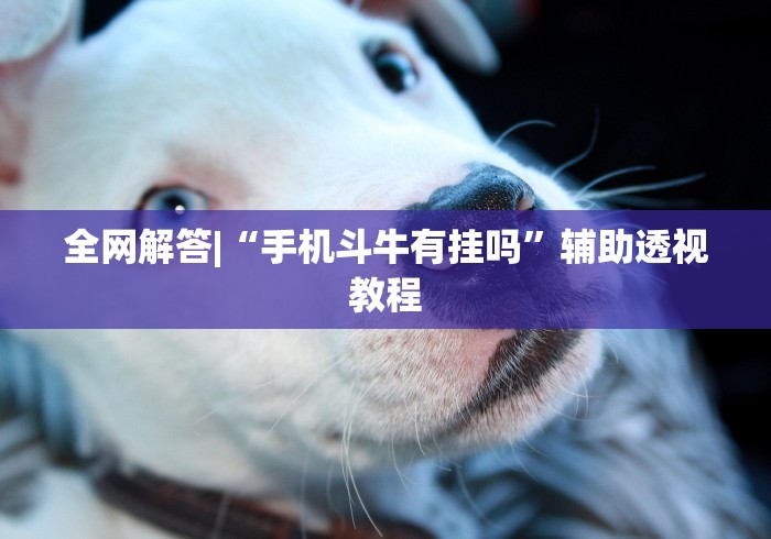 一键必胜“手机上的三公有挂吗?(详细透视开挂教程)