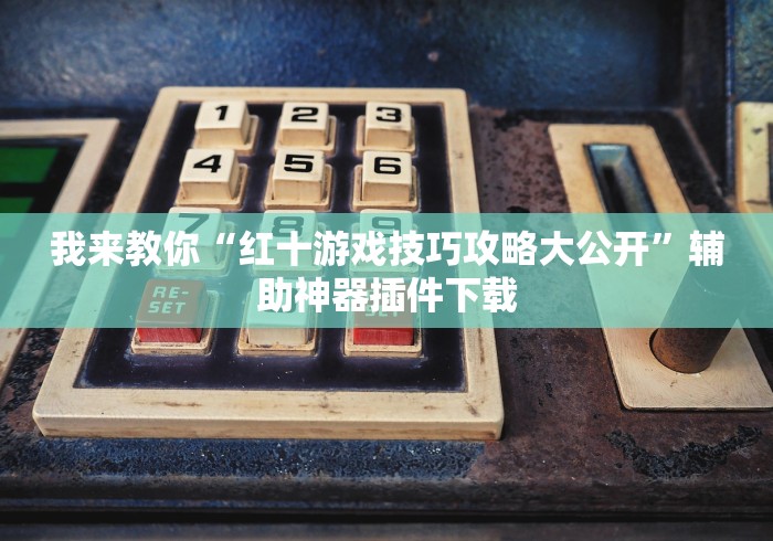 我来教你“红十游戏技巧攻略大公开”辅助神器插件下载