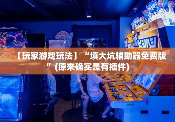 【玩家游戏玩法】“填大坑辅助器免费版”(原来确实是有插件)