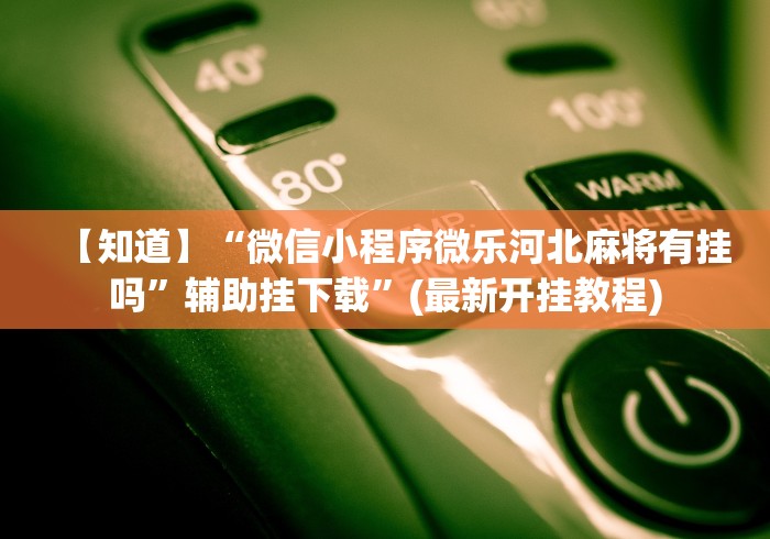 【知道】“微信小程序微乐河北麻将有挂吗”辅助挂下载”(最新开挂教程)