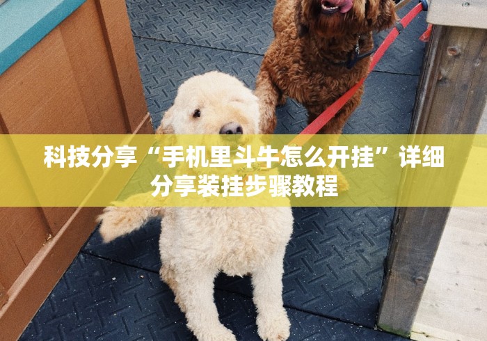 科技分享“手机里斗牛怎么开挂”详细分享装挂步骤教程