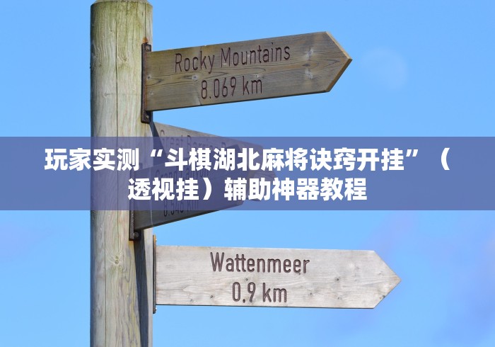 玩家实测“斗棋湖北麻将诀窍开挂”（透视挂）辅助神器教程