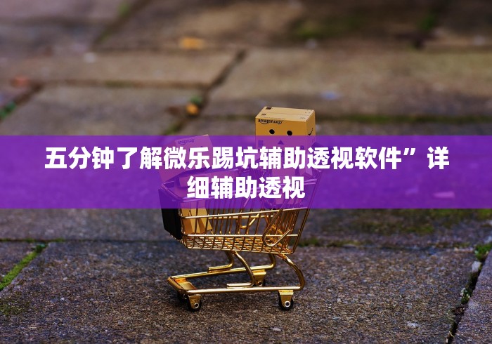 五分钟了解微乐踢坑辅助透视软件”详细辅助透视