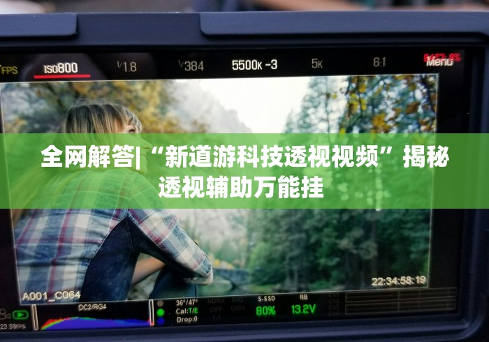 全网解答|“新道游科技透视视频”揭秘透视辅助万能挂 