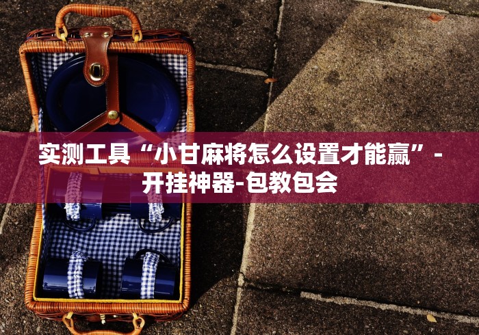 实测工具“小甘麻将怎么设置才能赢”-开挂神器-包教包会