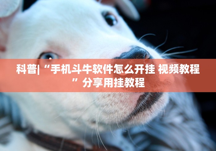 科普|“手机斗牛软件怎么开挂 视频教程”分享用挂教程