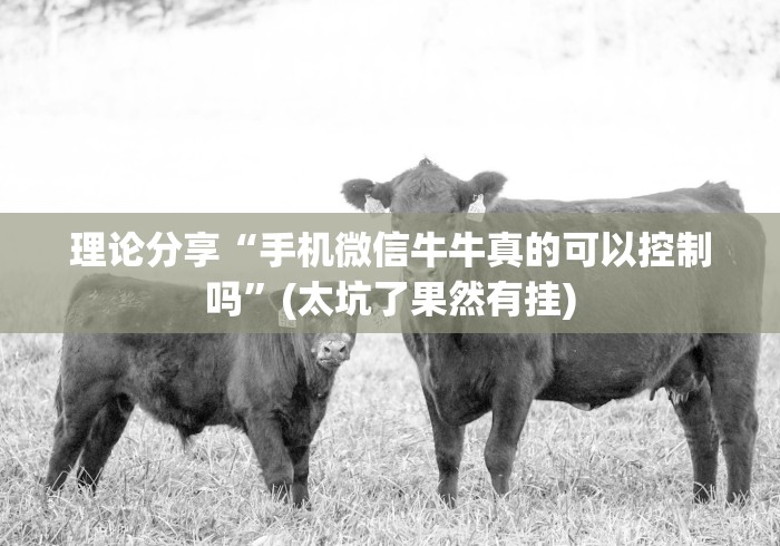 理论分享“手机微信牛牛真的可以控制吗”(太坑了果然有挂)