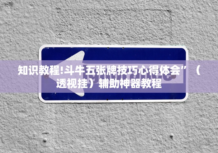 知识教程!斗牛五张牌技巧心得体会”（透视挂）辅助神器教程