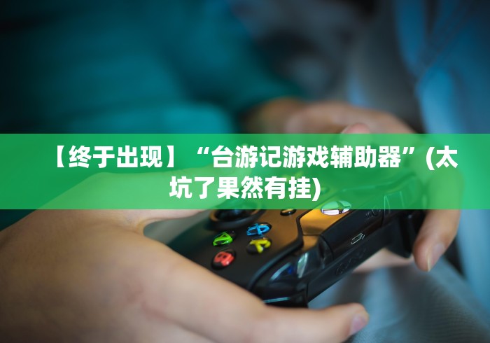 【终于出现】“台游记游戏辅助器”(太坑了果然有挂)