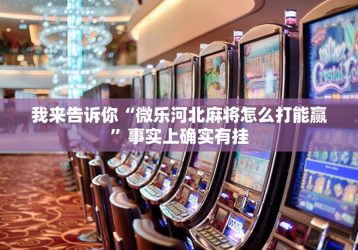 我来告诉你“微乐河北麻将怎么打能赢”事实上确实有挂