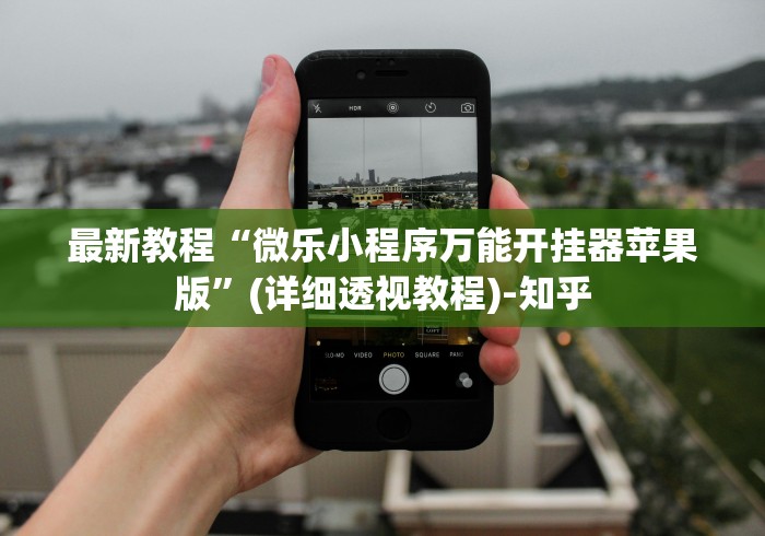 最新教程“微乐小程序万能开挂器苹果版”(详细透视教程)-知乎