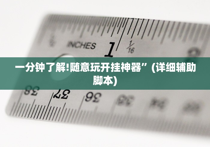 一分钟了解!随意玩开挂神器”(详细辅助脚本)