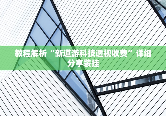 教程解析“新道游科技透视收费”详细分享装挂