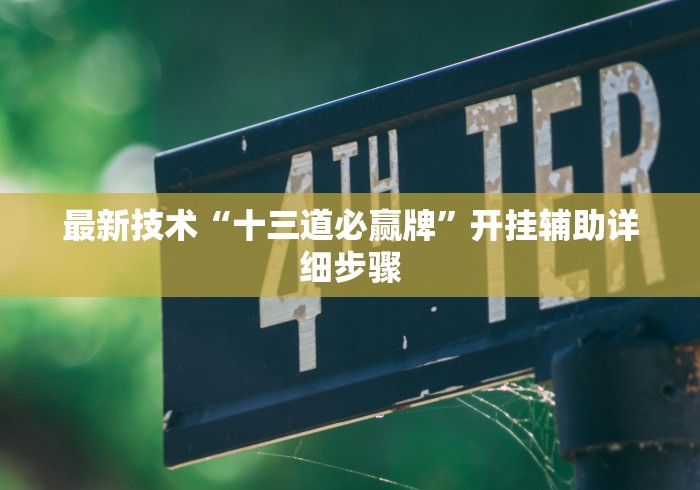 最新技术“十三道必赢牌”开挂辅助详细步骤