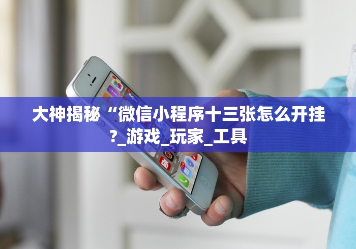 大神揭秘“微信小程序十三张怎么开挂?_游戏_玩家_工具
