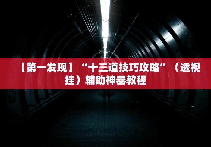 【第一发现】“十三道技巧攻略”（透视挂）辅助神器教程