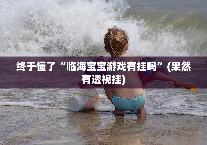 终于懂了“临海宝宝游戏有挂吗”(果然有透视挂)