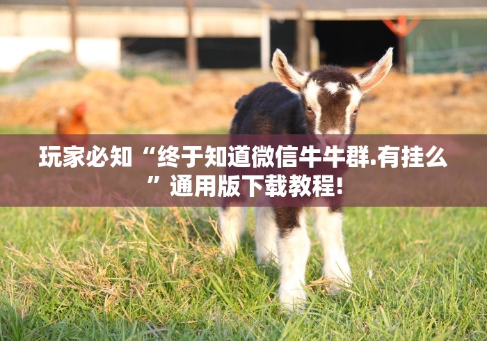 玩家必知“终于知道微信牛牛群.有挂么”通用版下载教程!