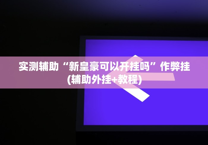 实测辅助“新皇豪可以开挂吗”作弊挂(辅助外挂+教程)