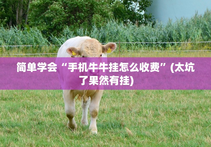 简单学会“手机牛牛挂怎么收费”(太坑了果然有挂)
