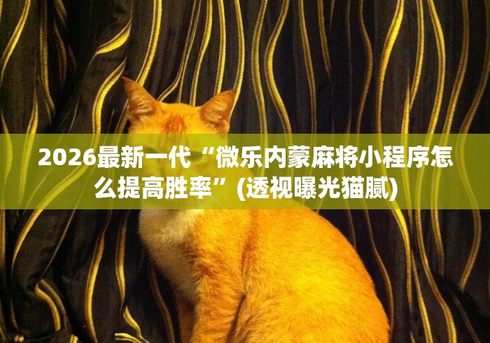 2026最新一代“微乐内蒙麻将小程序怎么提高胜率”(透视曝光猫腻)