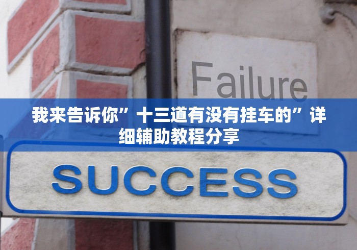 我来告诉你”十三道有没有挂车的”详细辅助教程分享