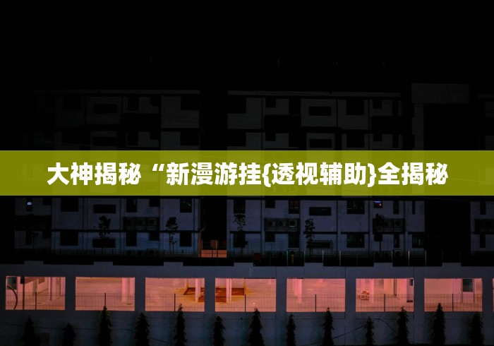 大神揭秘“新漫游挂{透视辅助}全揭秘