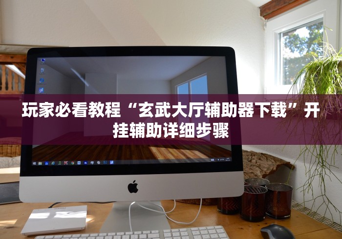 玩家必看教程“玄武大厅辅助器下载”开挂辅助详细步骤