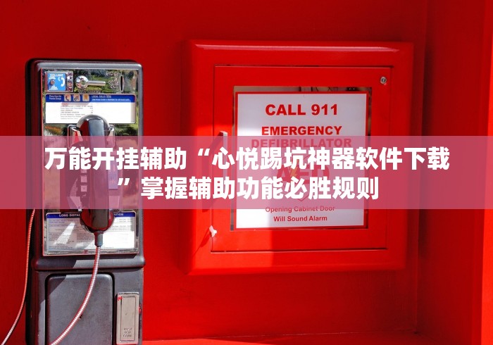 万能开挂辅助“心悦踢坑神器软件下载”掌握辅助功能必胜规则
