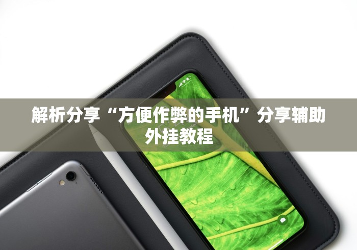 解析分享“方便作弊的手机”分享辅助外挂教程