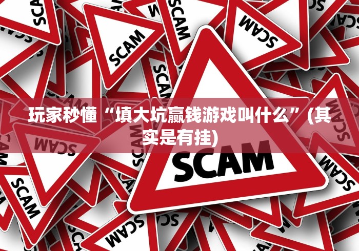 玩家秒懂“填大坑赢钱游戏叫什么”(其实是有挂)