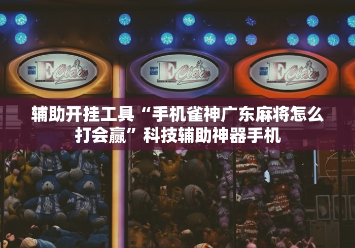 辅助开挂工具“手机雀神广东麻将怎么打会赢”科技辅助神器手机