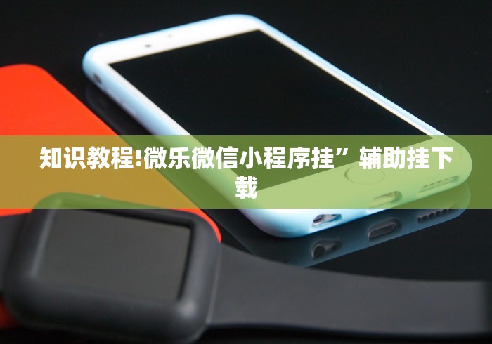知识教程!微乐微信小程序挂”辅助挂下载