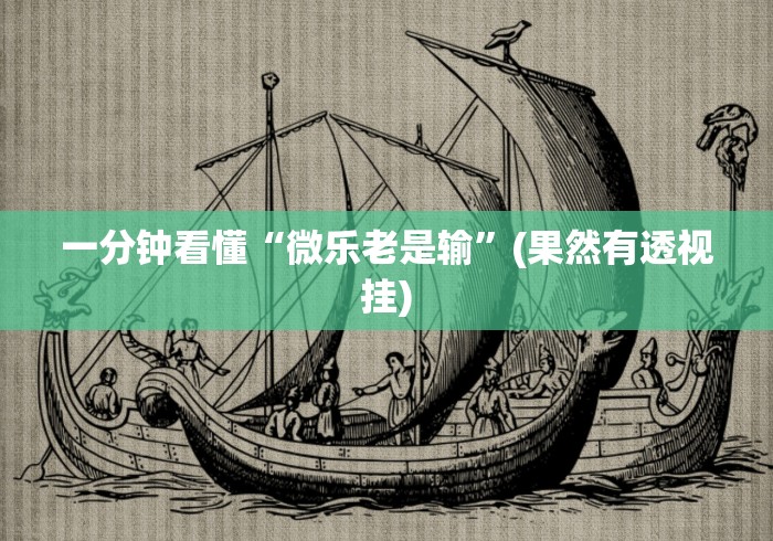 一分钟看懂“微乐老是输”(果然有透视挂)