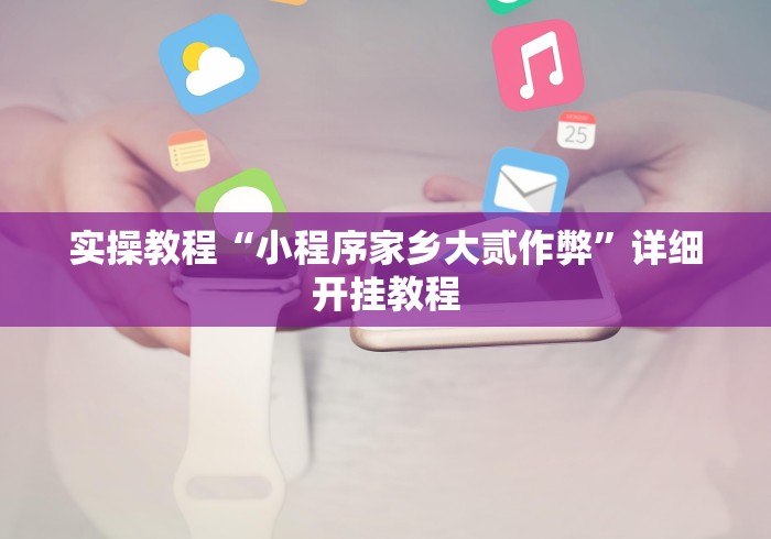 实操教程“小程序家乡大贰作弊”详细开挂教程