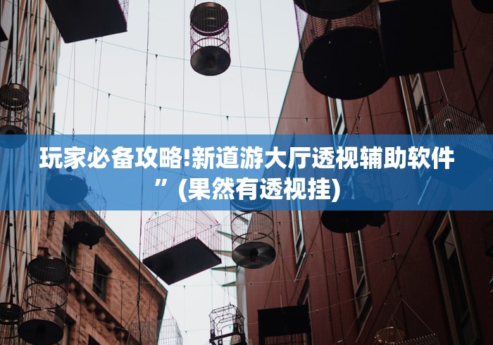 玩家必备攻略!新道游大厅透视辅助软件”(果然有透视挂)