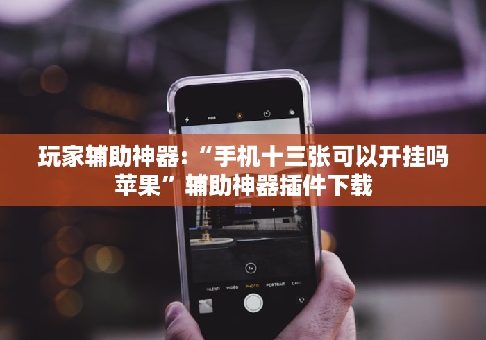 玩家辅助神器:“手机十三张可以开挂吗苹果”辅助神器插件下载