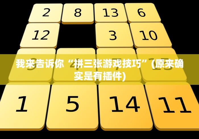 我来告诉你“拼三张游戏技巧”(原来确实是有插件)